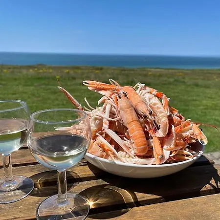 Studio Refait A Neuf - Terrasse Vue Mer - La Naturelle Apartamento Wimereux