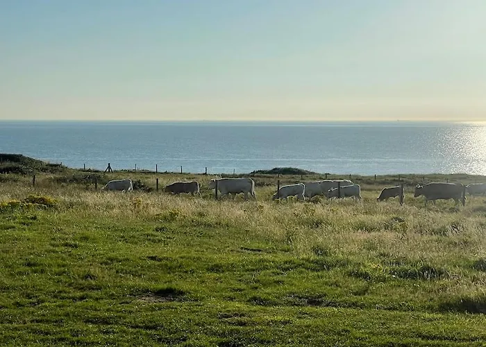 Appartement Studio Refait A Neuf - Terrasse Vue Mer - La Naturelle